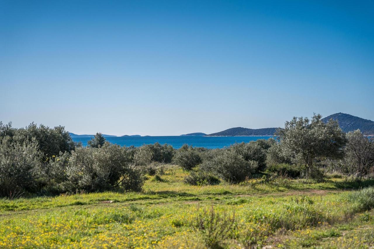 Olive groves and the sea just outside Vodice